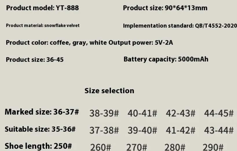 Electric Heating Shoes