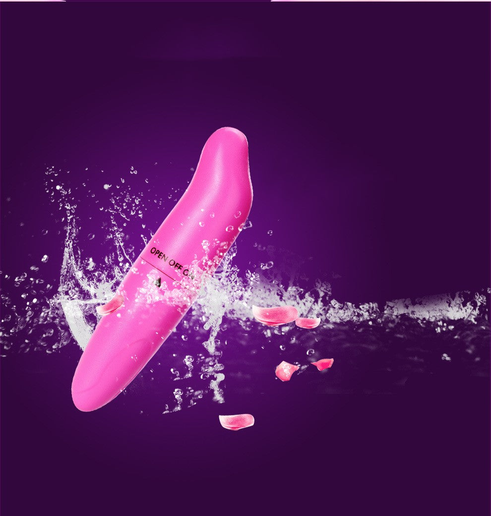 Dolphin Vibrating Massage Wand Mini G-Spot Stimulator