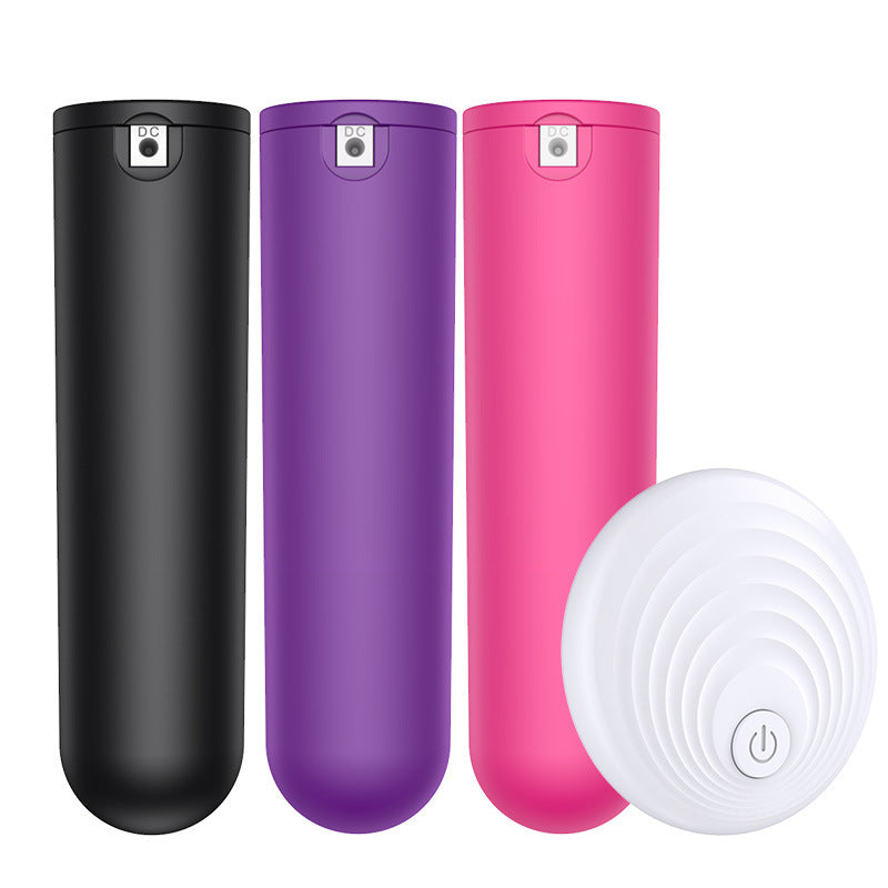 Wireless Remote Control Vibrating Egg Adult Toy