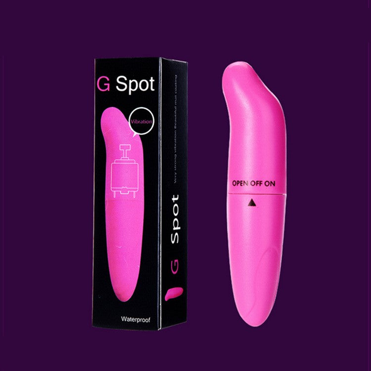 Dolphin Vibrating Massage Wand Mini G-Spot Stimulator