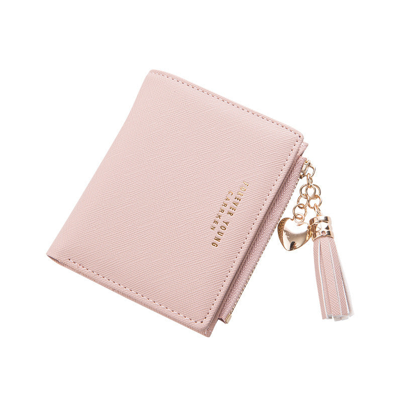 Women's Zipper Coin Purse and Clutch Bag