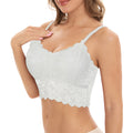 Women's Lace Suspenders Padded Bra for Daily Wear