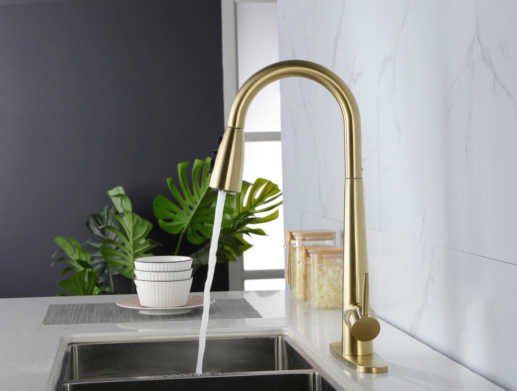 Single Handle Stainless Steel Kitchen Sink Faucet with Pull Down Sprayer