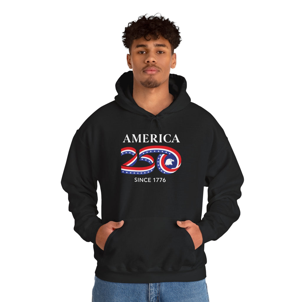 Eagle in 250 Happy Birthday USA Patriotic Pullover