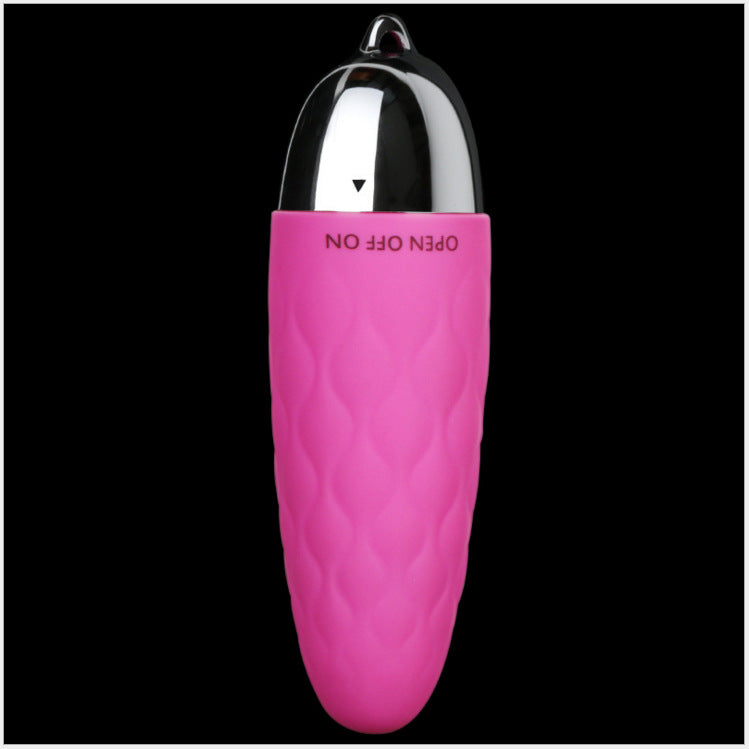 Vibrating Massage Wand and Egg - Adult Pleasure Toys