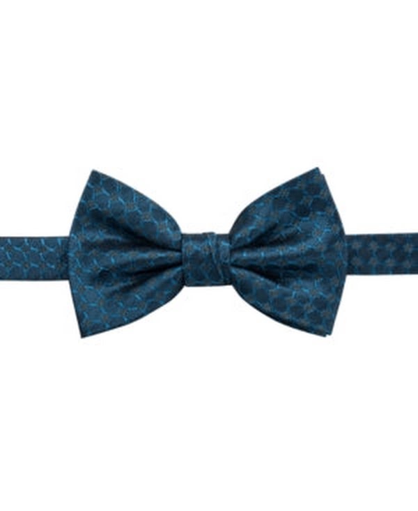 Ryan Seacrest Distinction Mens Boysen Pre-Tied Silk Bow Tie