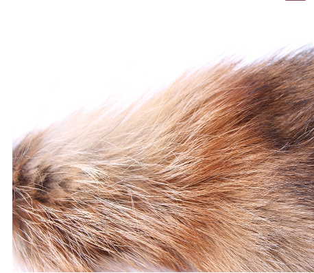 Fox Tail Anal Plug - Metal Pleasure Toy