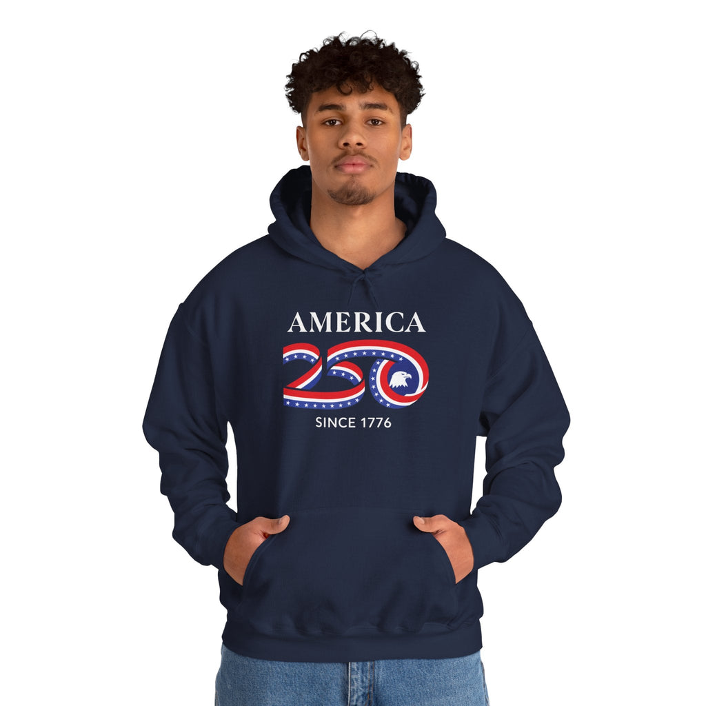 Eagle in 250 Happy Birthday USA Patriotic Pullover