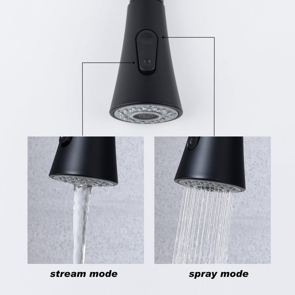 Kitchen Faucet with Pull Out Sprayer