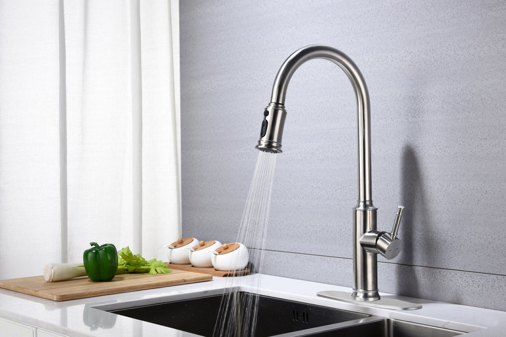 Kitchen Faucet with Pull Down Sprayer