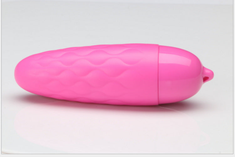 Vibrating Massage Wand and Egg - Adult Pleasure Toys