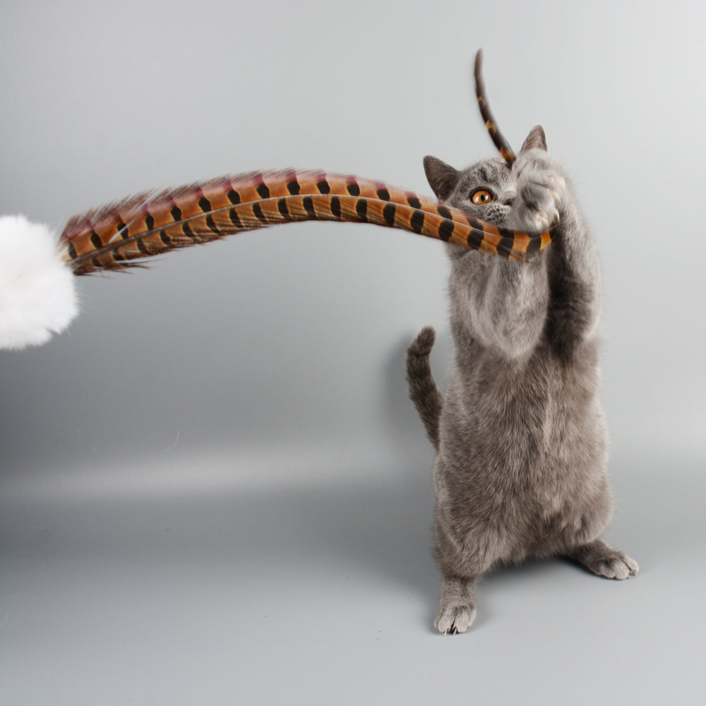 Rabbit and Feather Cat Teaser Wand Toy