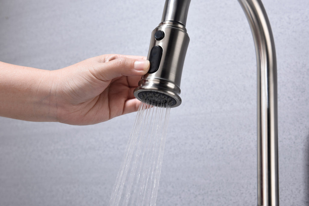 Kitchen Faucet with Pull Down Sprayer