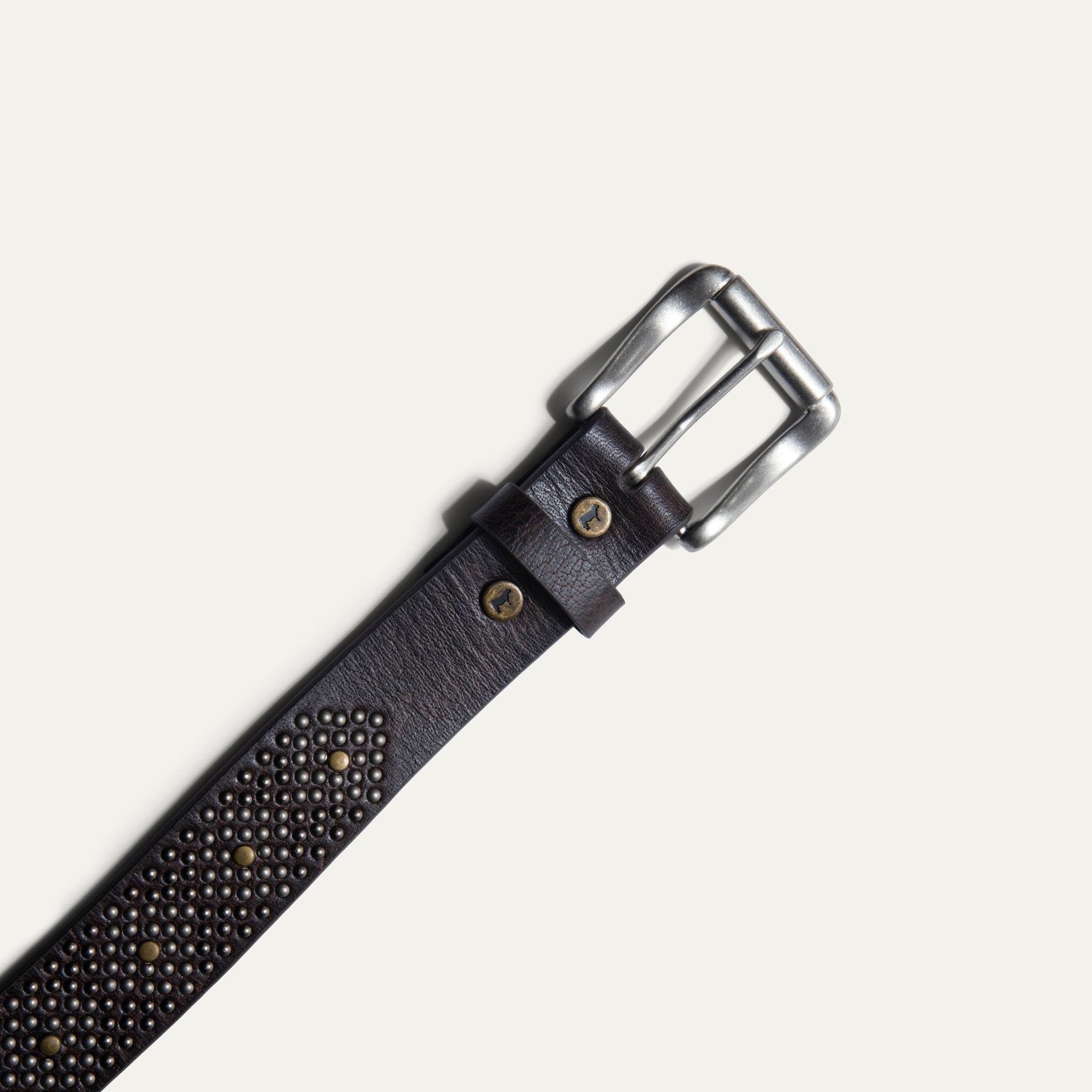 Diamante Wild One Belt