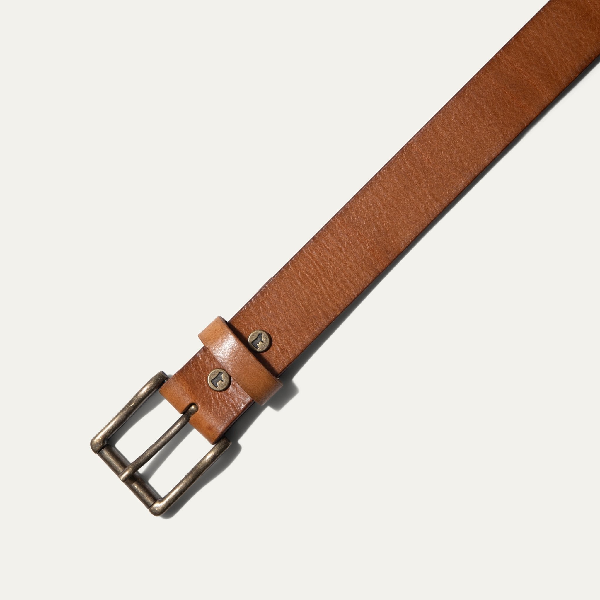 Saddle Belt