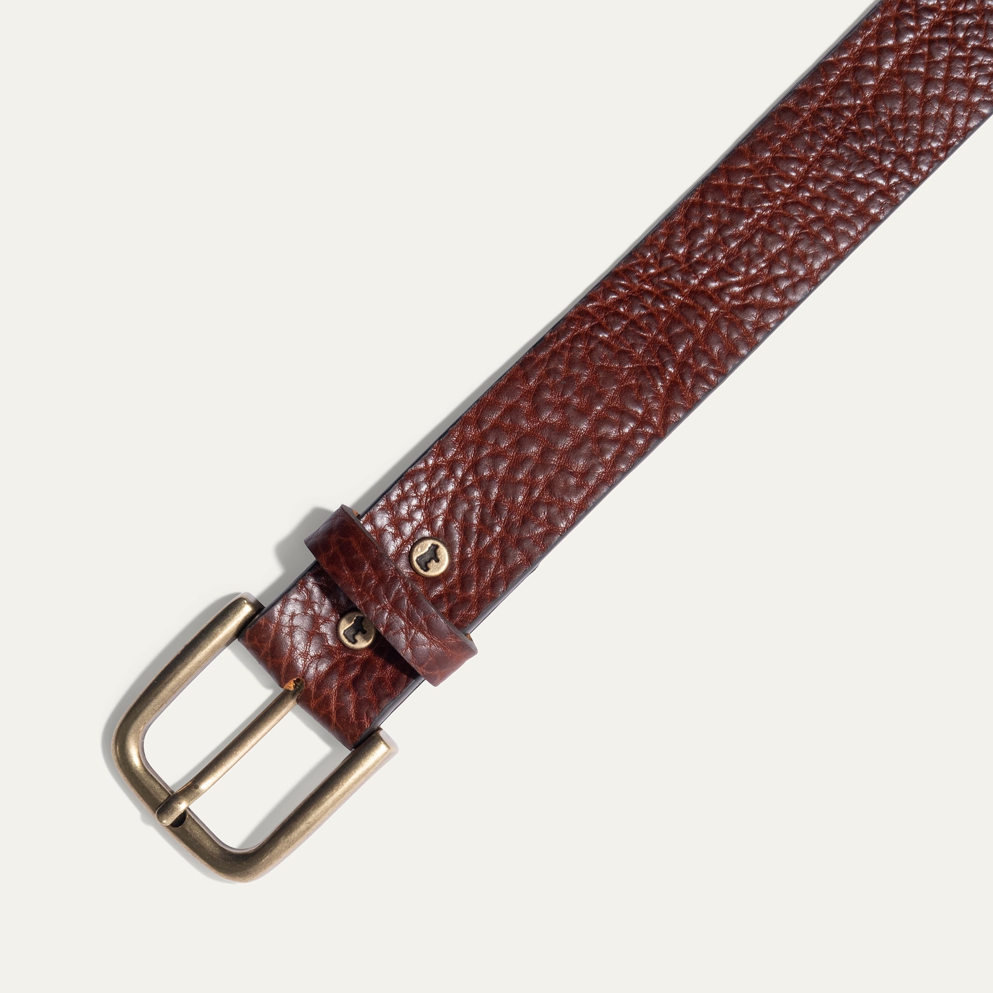 Shrunken American Bison Belt