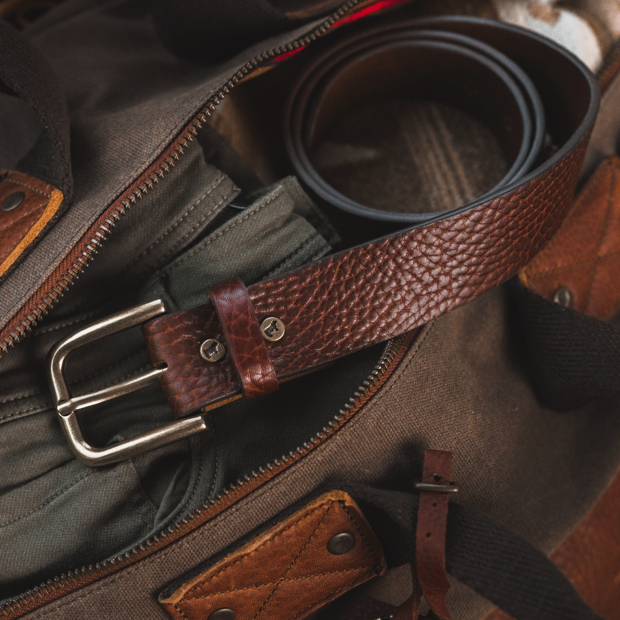 Shrunken American Bison Belt
