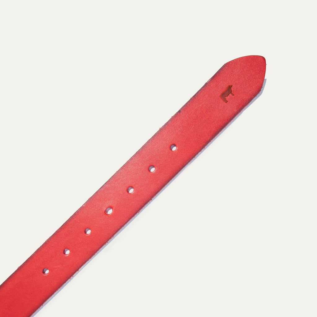 Jelly Bean Belt