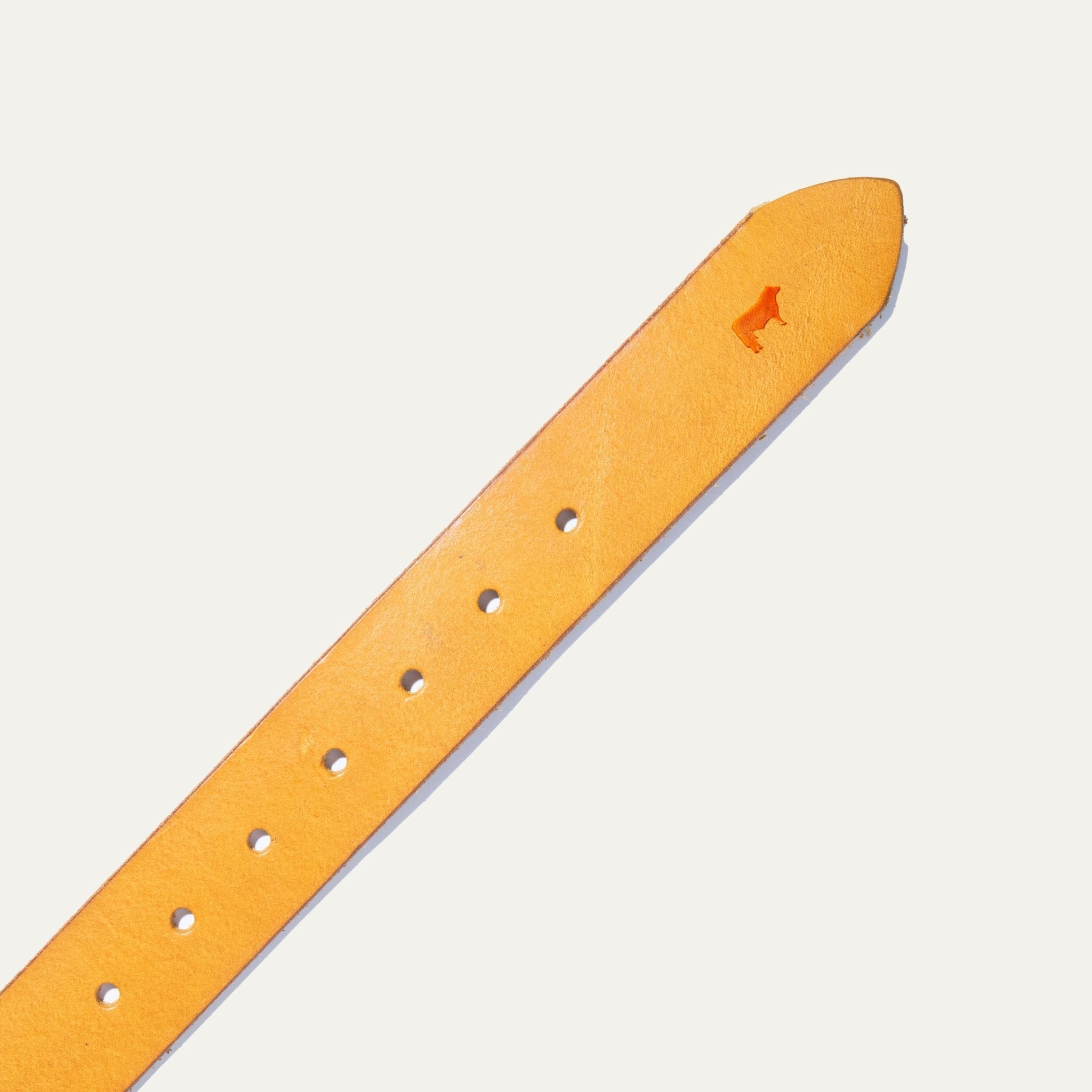 Jelly Bean Belt