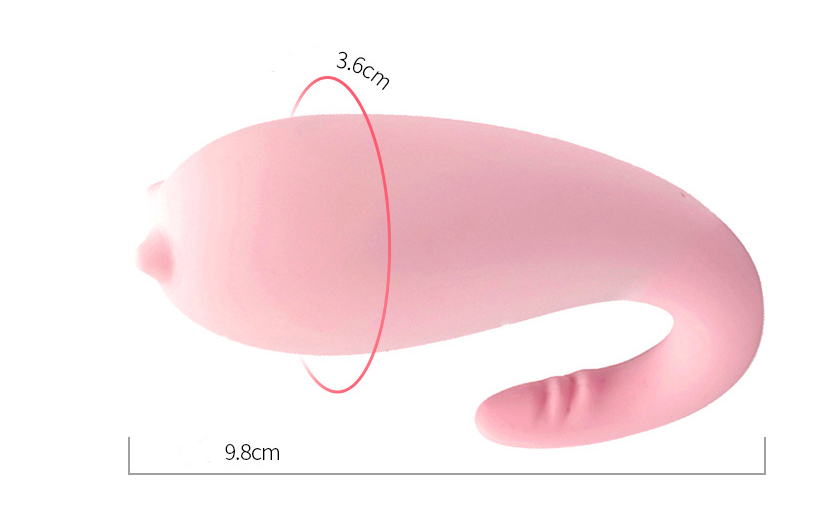 Vibrating Egg, Women's Massager and Pleasure Device