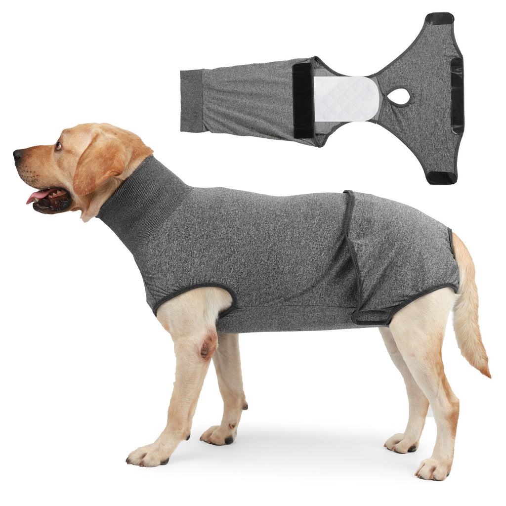 Dog Clothing for Post-Sterilization Comfort