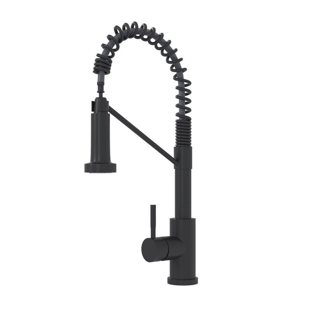 Bothwa Home CUPC Certified 19' Single Handle Kitchen Faucet (Matt Black Finish)