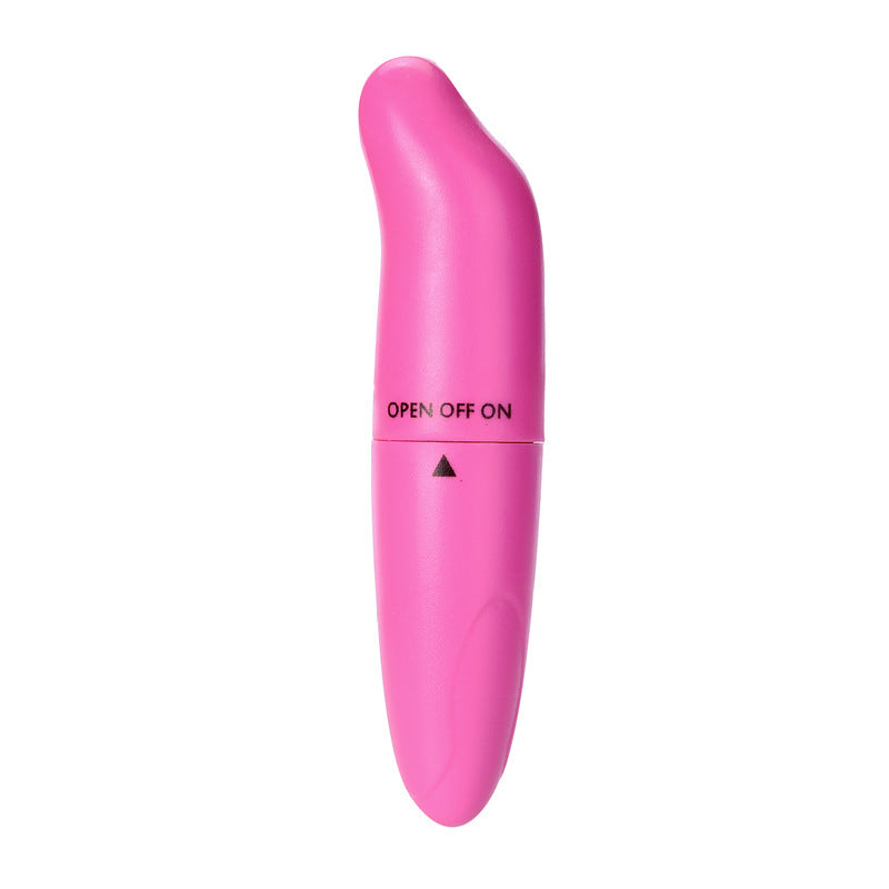 Dolphin Vibrating Massage Wand Mini G-Spot Stimulator