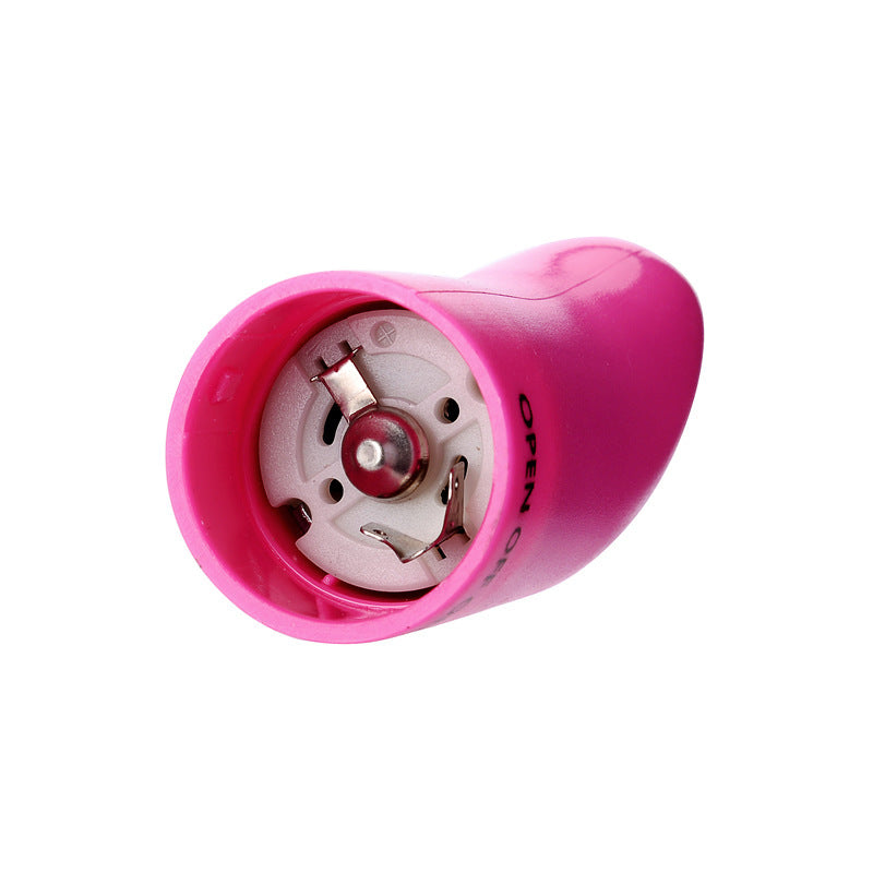 Dolphin Vibrating Massage Wand Mini G-Spot Stimulator
