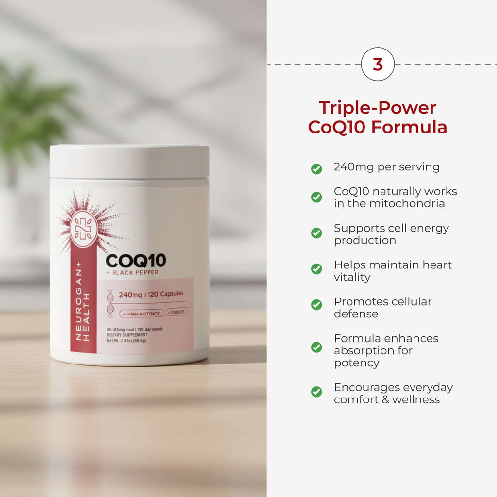 The Cognition Stack