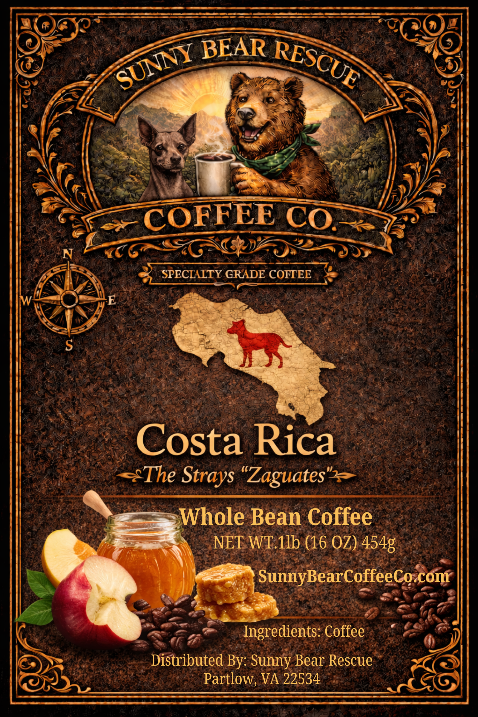 Costa Rica ~ The Strays “Zaguates”