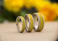 Goldenrod - Stainless Steel