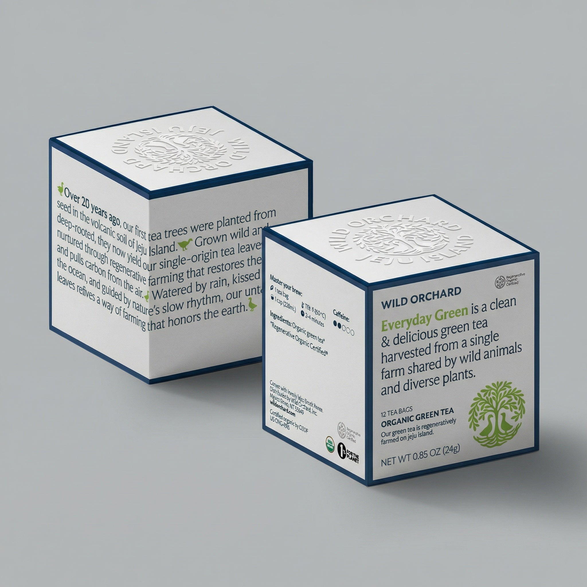 Everyday Green - Organic Green Tea Bag