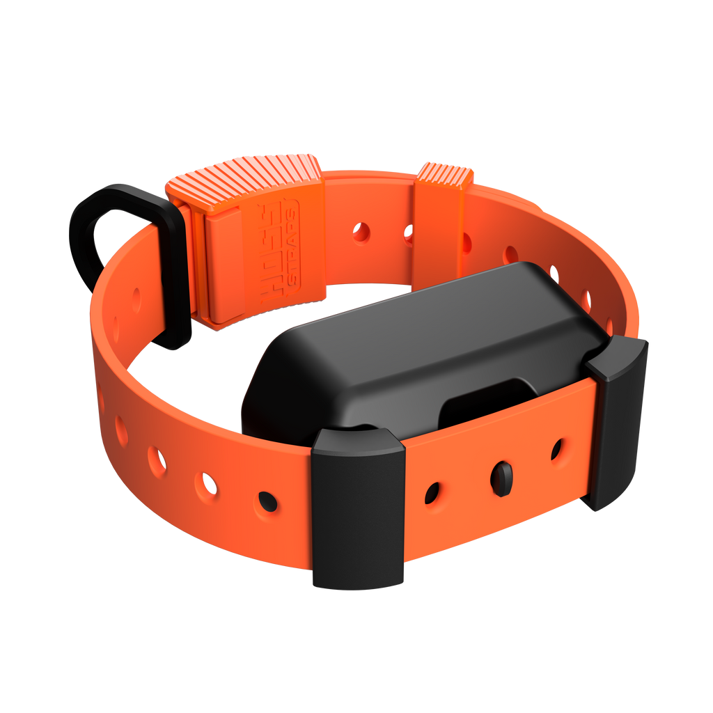 Training Collar Setup