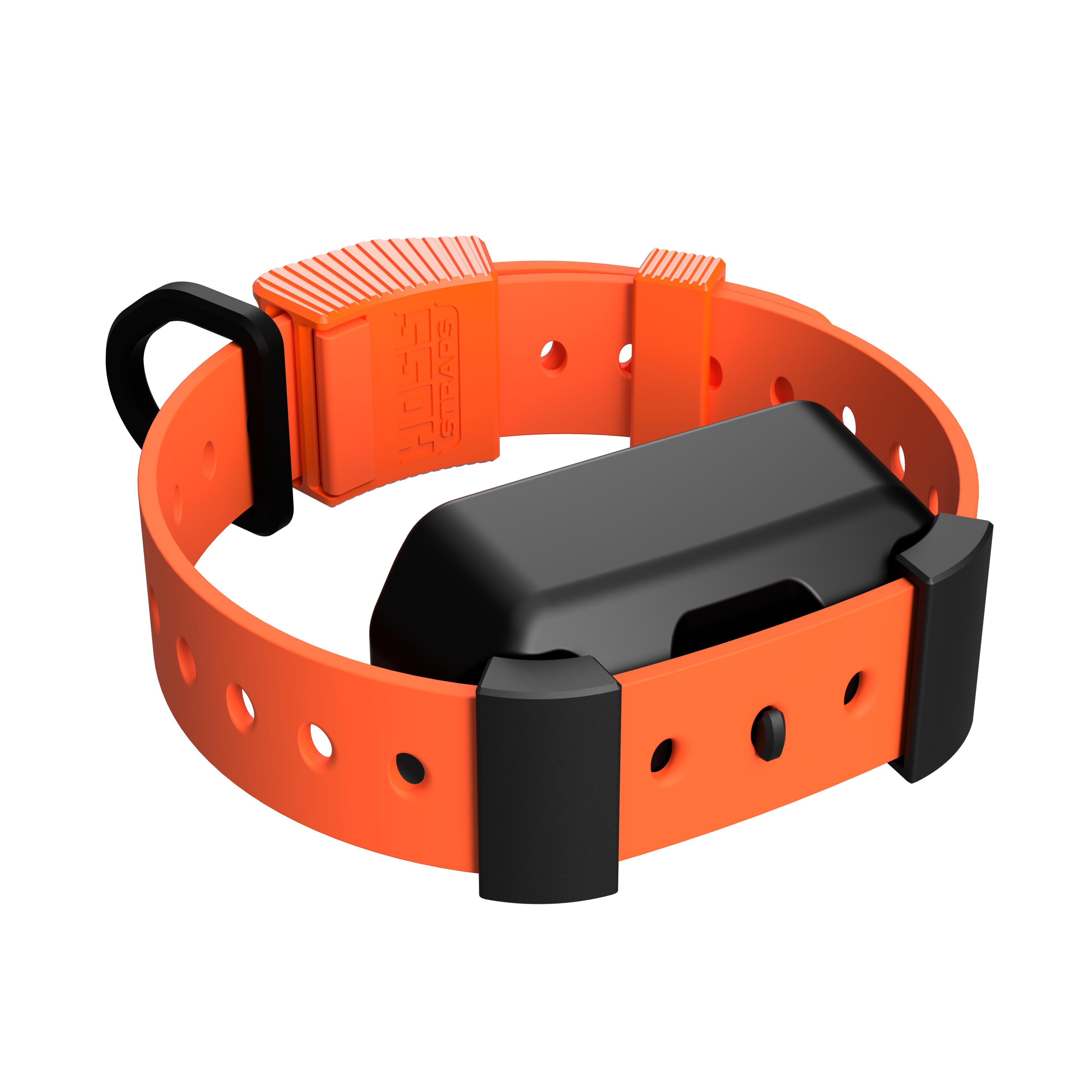 Training Collar Setup