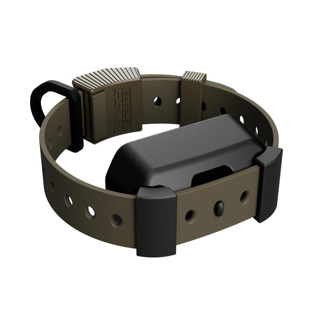 Training Collar Setup