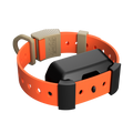 Training Collar Setup