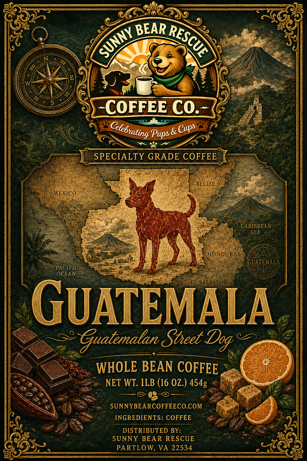 Guatemala ~ Guatemalan Street Dog