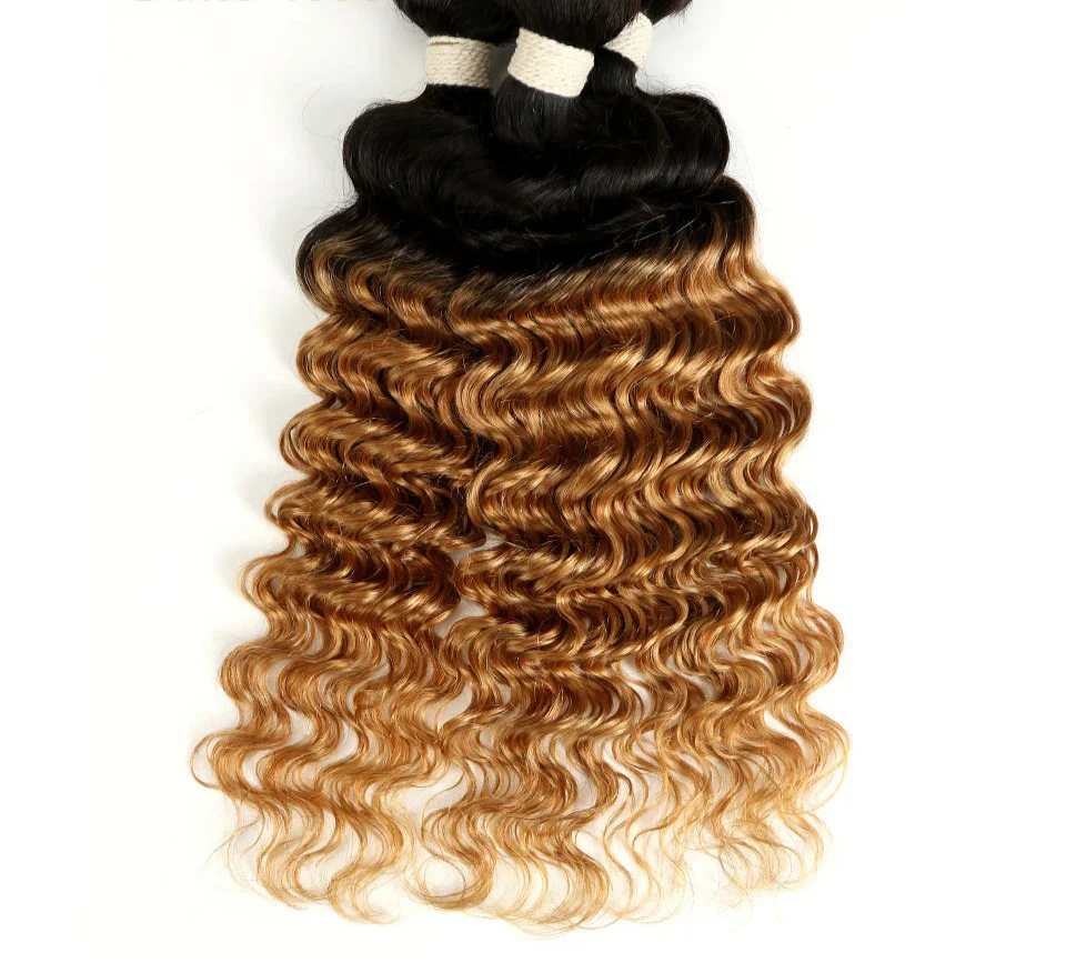 Ombre Brazilian Deep Wave Human Hair Bundles | Remy 2 Tone Color T1B/27#, T1B/30#, T1B/99J# (1, 3, or 4 Pcs)