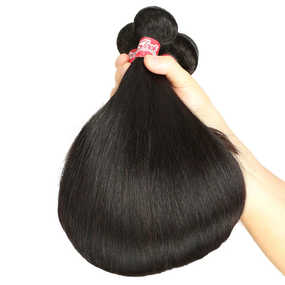 Brazilian Straight Human Hair Bundles with 2x4 Lace Closure | 3 Bundles & Closure Set