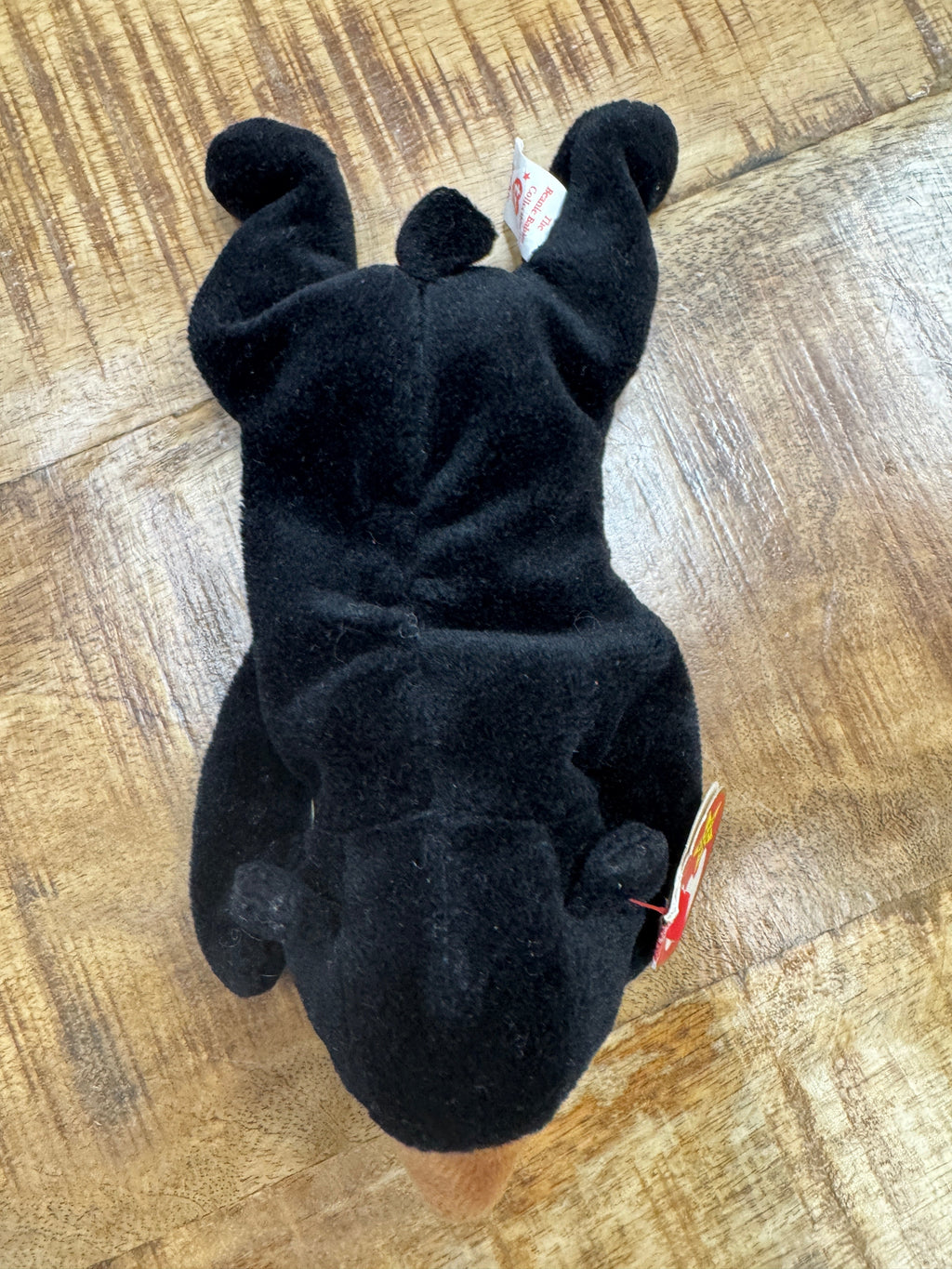 Ty Beanie Baby Blackie the Bear Ultra Rare, PVC Pellets, Major Tag Errors, Mint