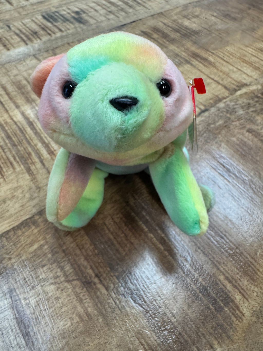 Ty Beanie Baby Babies 1998 / 1999 Sammy the Bear *Rare* With Errors *Retired*