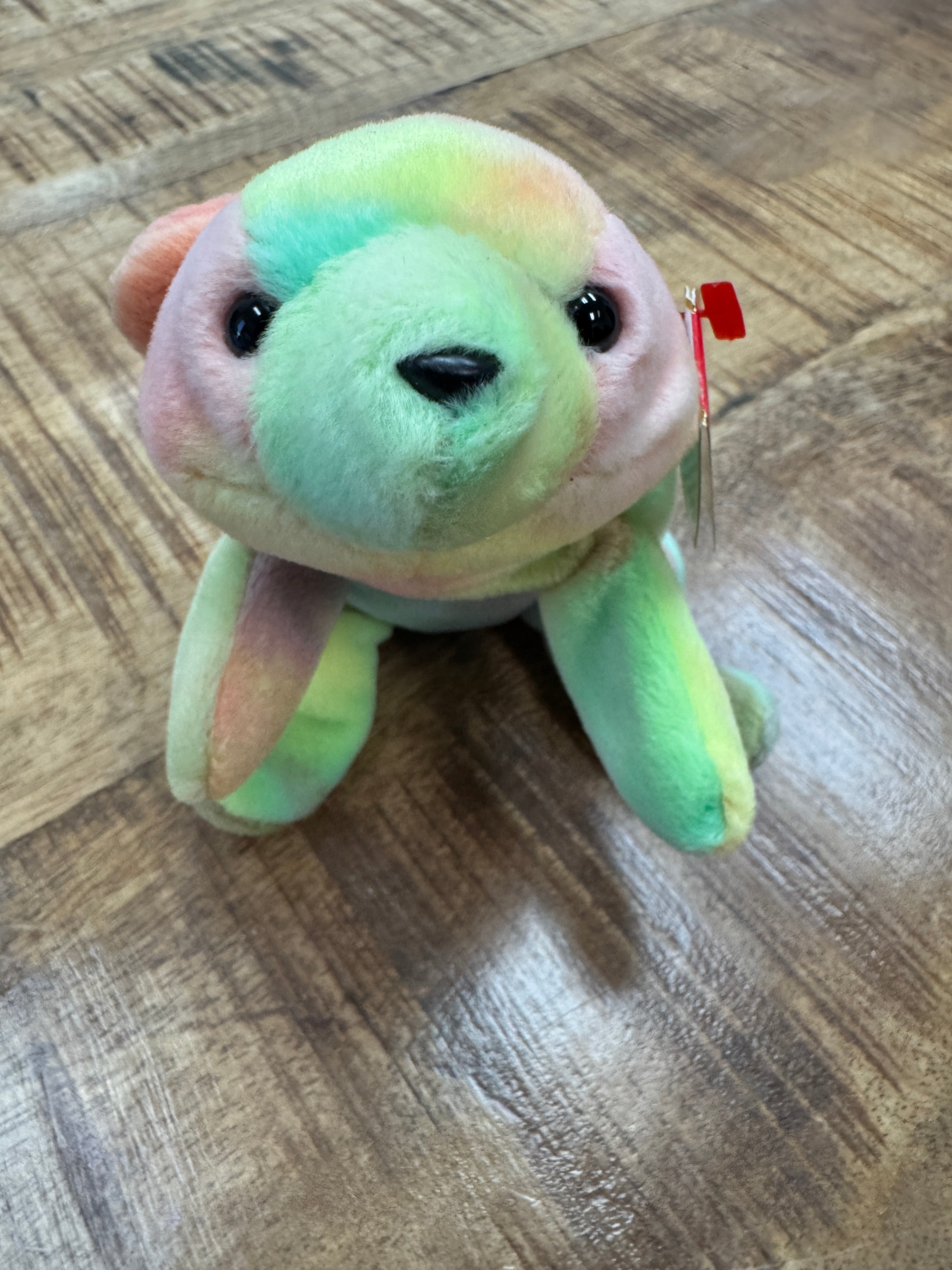 Ty Beanie Baby Babies 1998 / 1999 Sammy the Bear *Rare* With Errors *Retired*