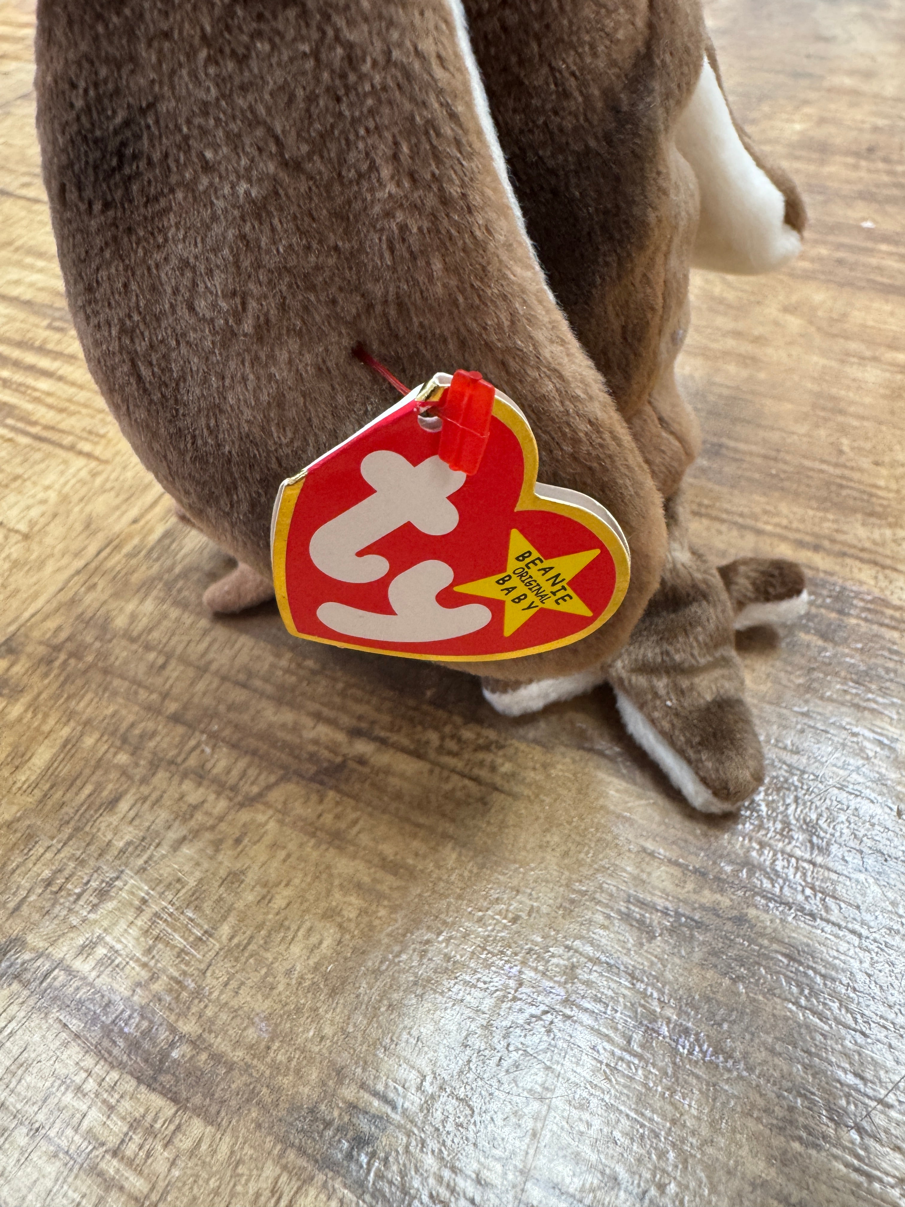 Collectible 1998 Ty Beanie Baby Wise Graduate Owl Class of 98** P.V.C. Pellets
