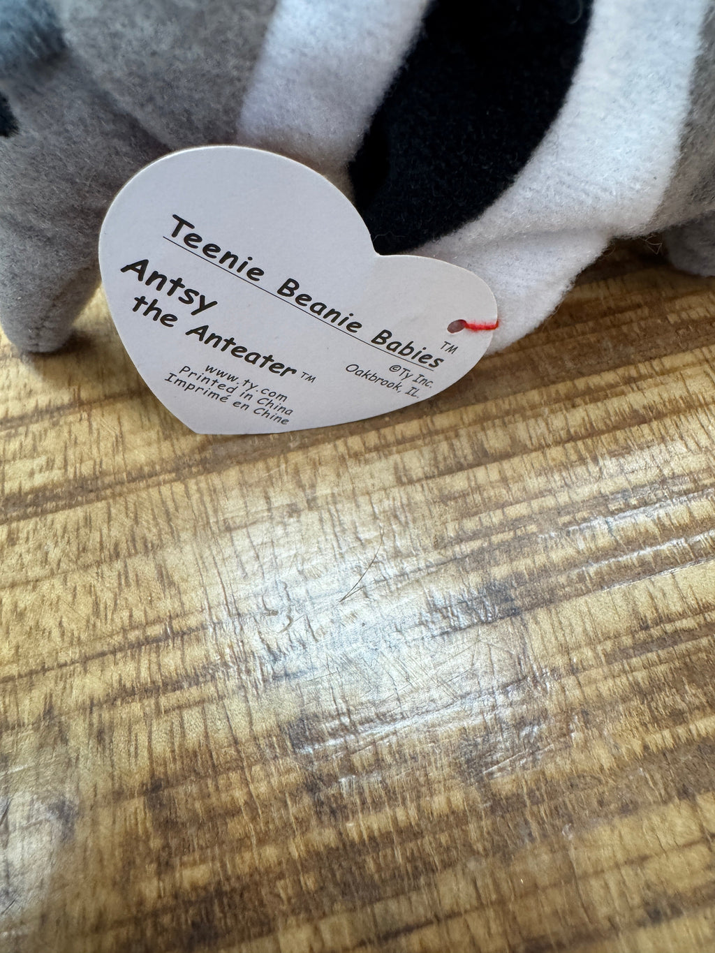 Ty Vintage Teenie Beanie Babies Baby ? Antsy the Anteater ? 1993 w/Errors