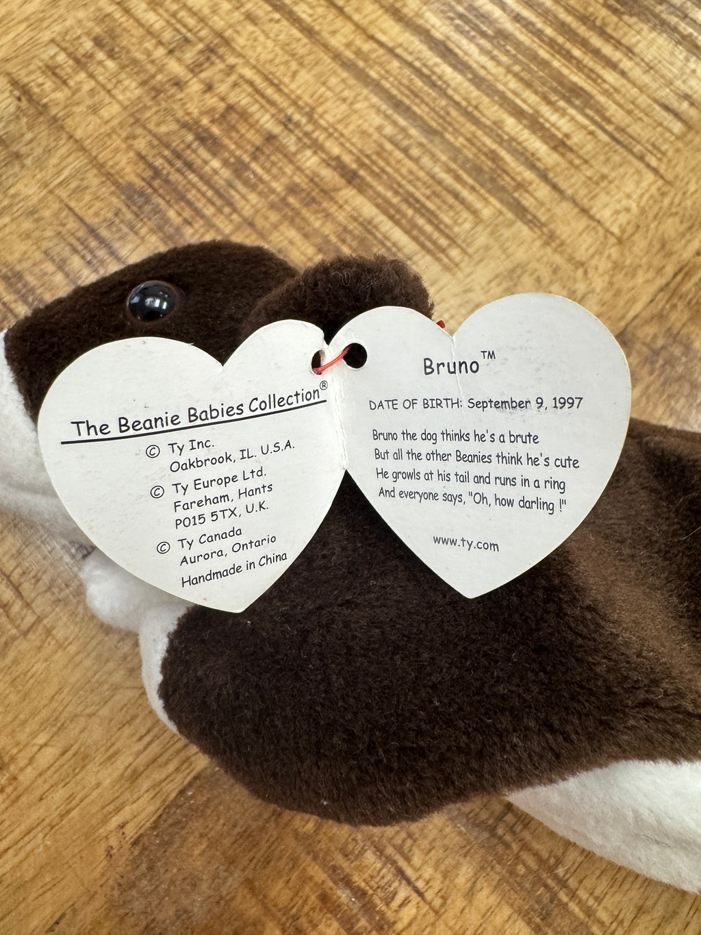 Ty Beanie Babies Bruno the Dog, With 10 Errors