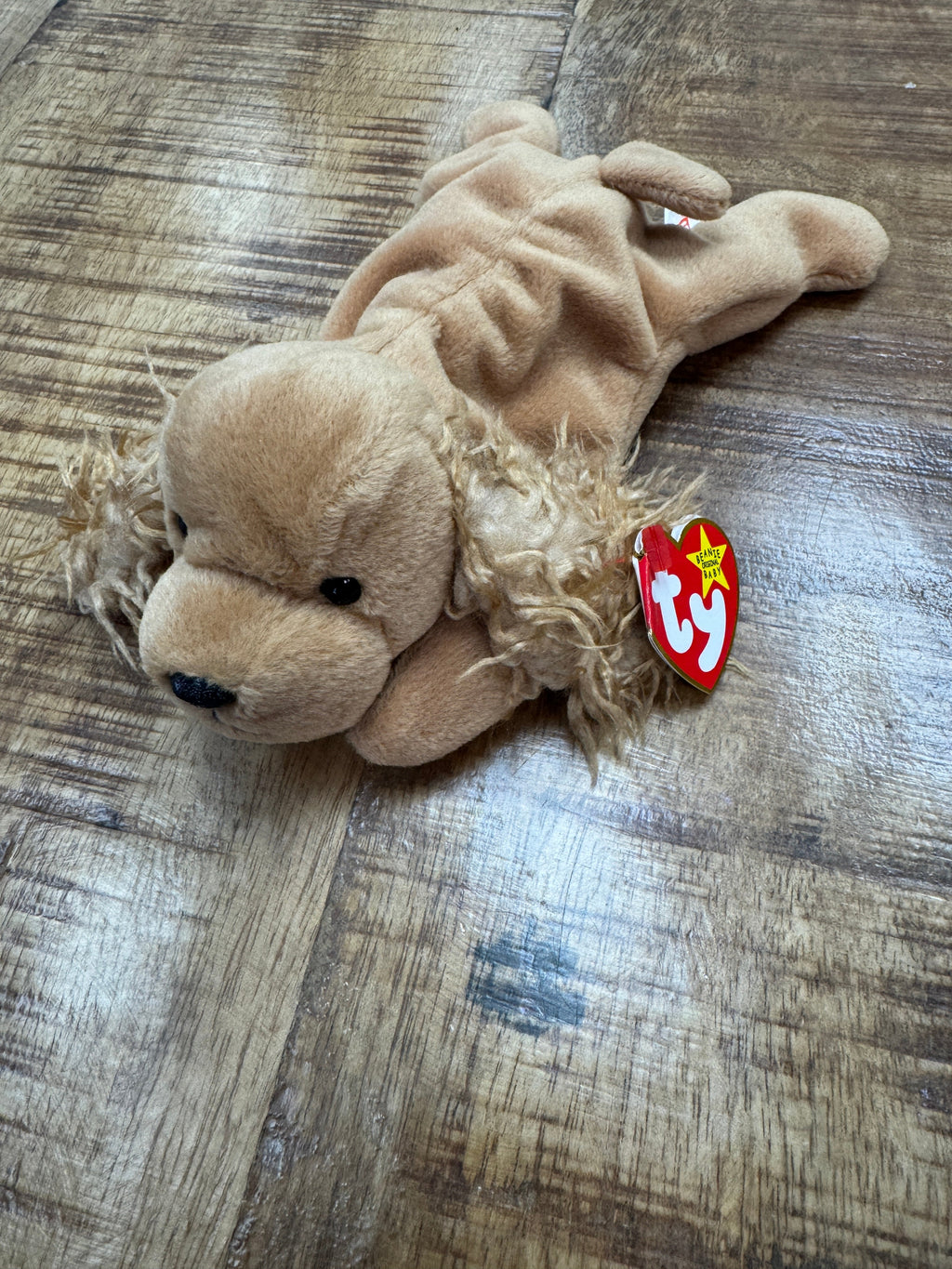 Ty Beanie Baby Spunky The Cocker Spaniel 1997 Retired With Tag Errors, Pellets