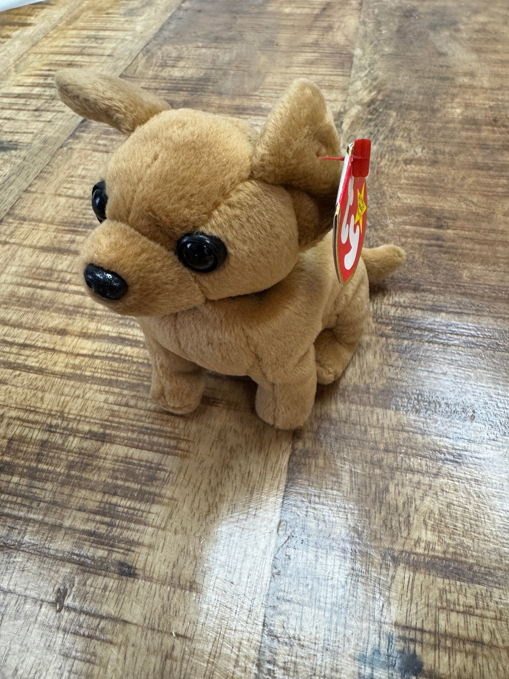 Ty Beanie Babies Tiny Dog 1998 P.V.C. Pellets With Tag 9 Errors