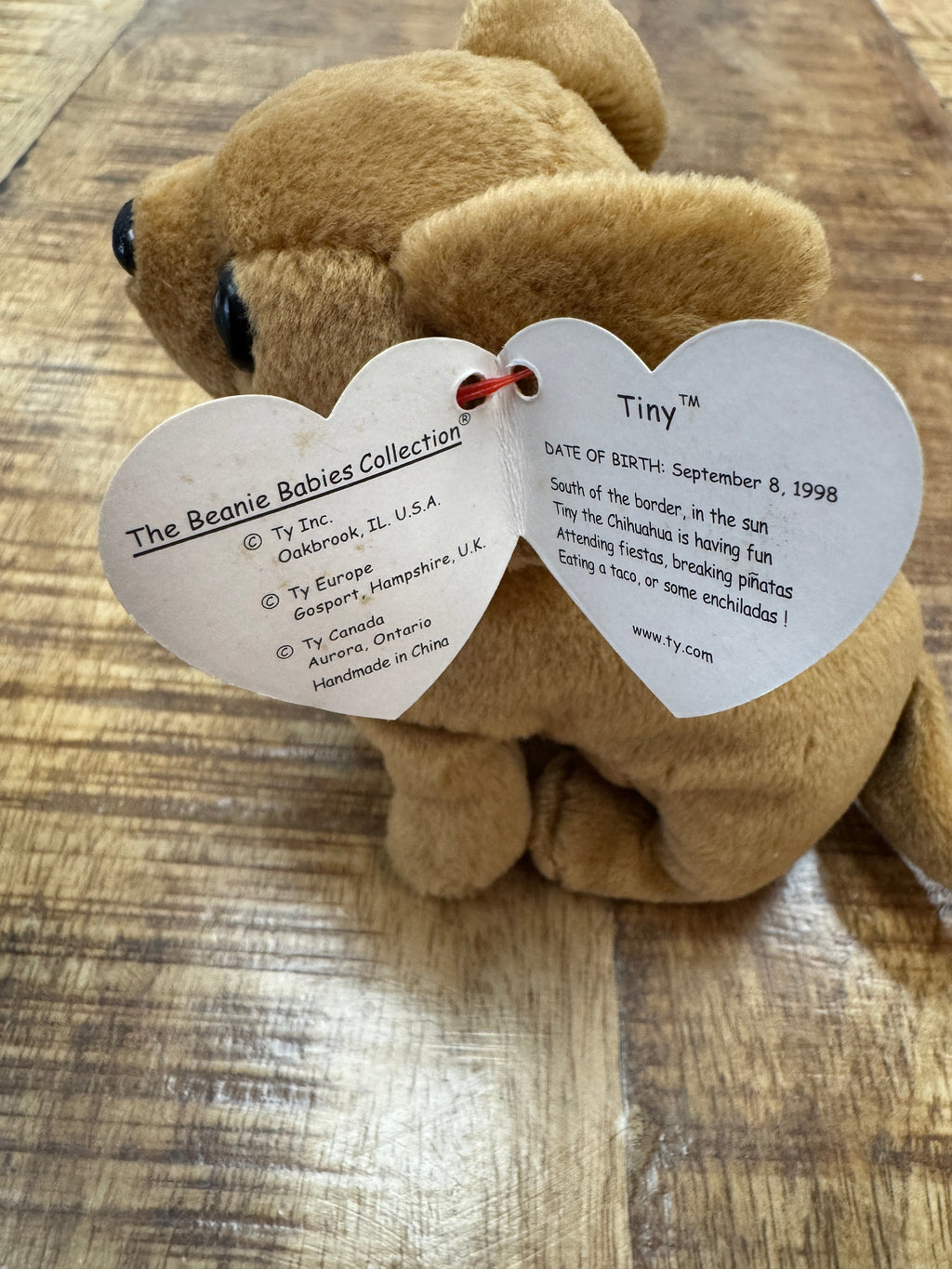 Ty Beanie Babies Tiny Dog 1998 P.V.C. Pellets With Tag 9 Errors
