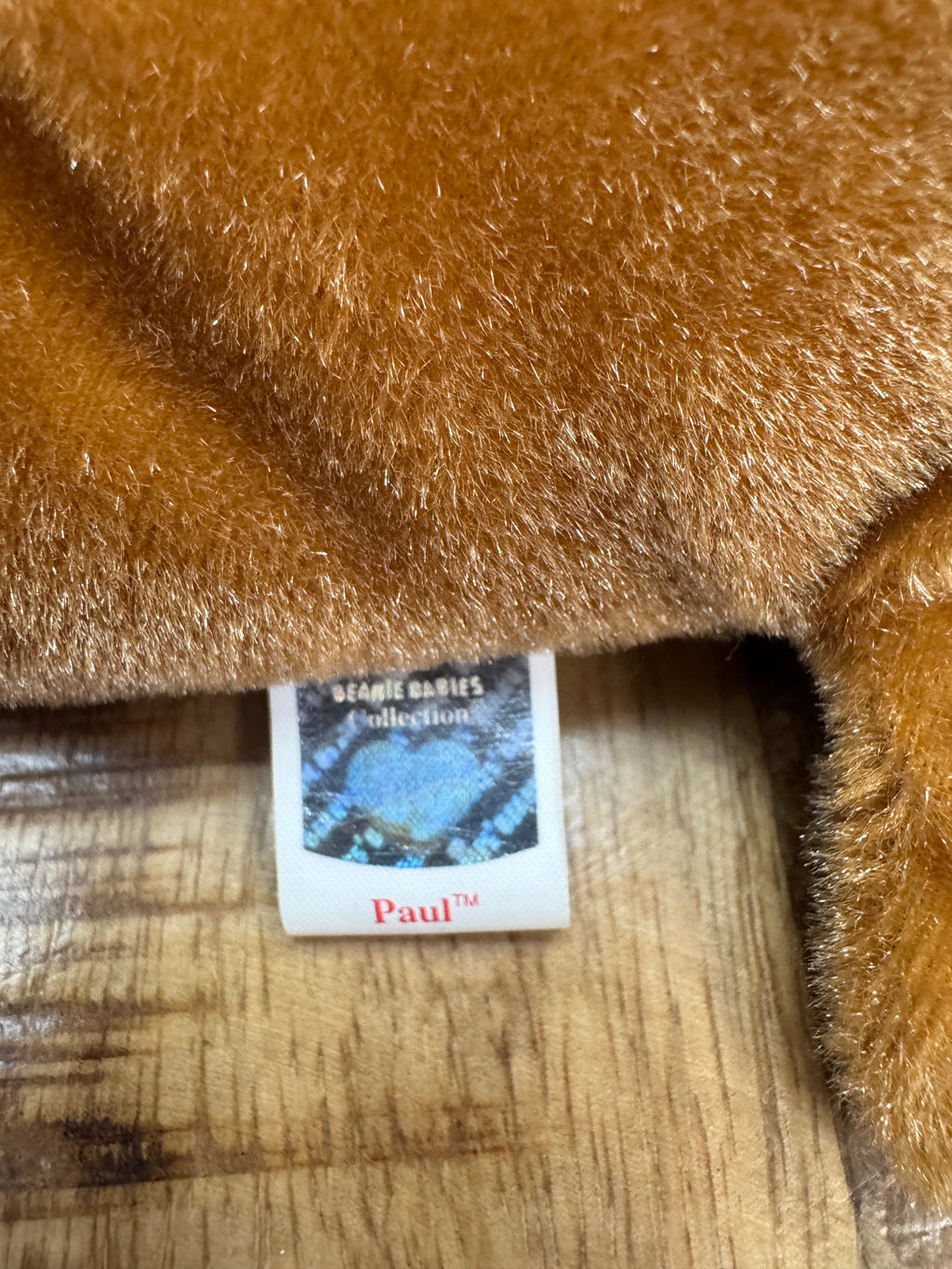 Ty Beanie Baby Paul the Walrus Plush With Multi Errors