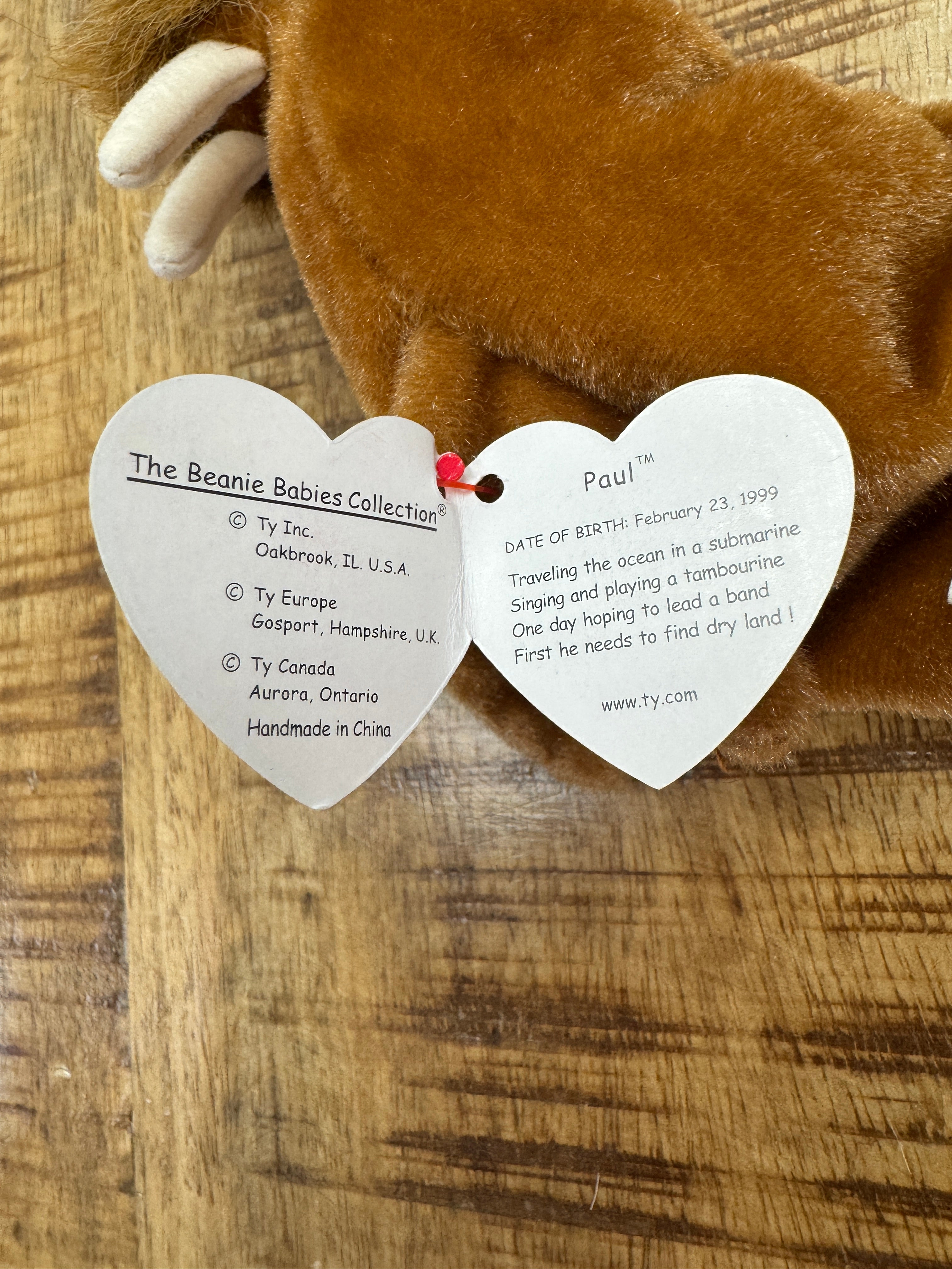 Ty Beanie Baby Paul the Walrus Plush With Multi Errors